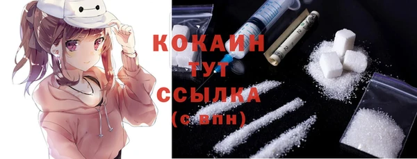 дживик Вязьма