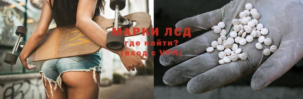 дживик Вязьма