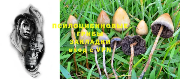дживик Вязьма