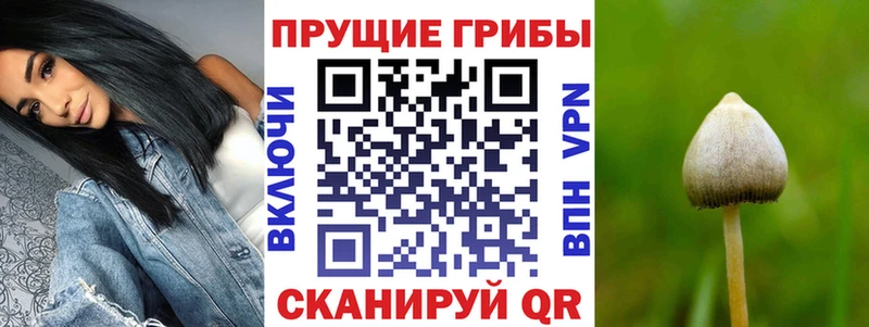 Галлюциногенные грибы мухоморы  где можно купить наркотик  Десногорск 